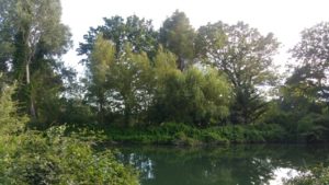 La Sorgue 